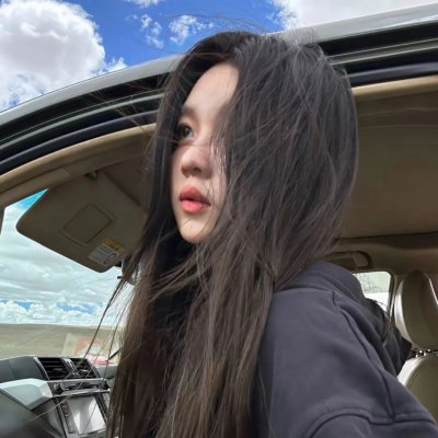 与鸭共舞封面